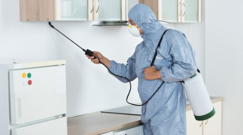 pest control services in Lahore