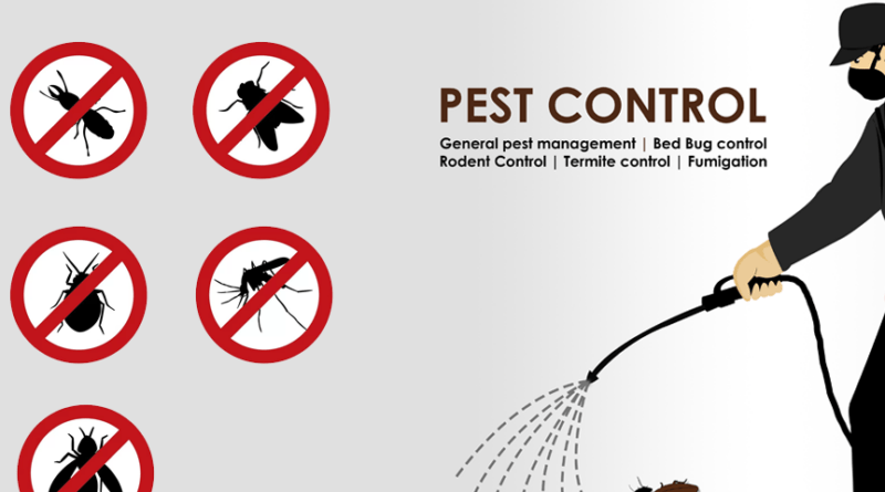 pest treatment services